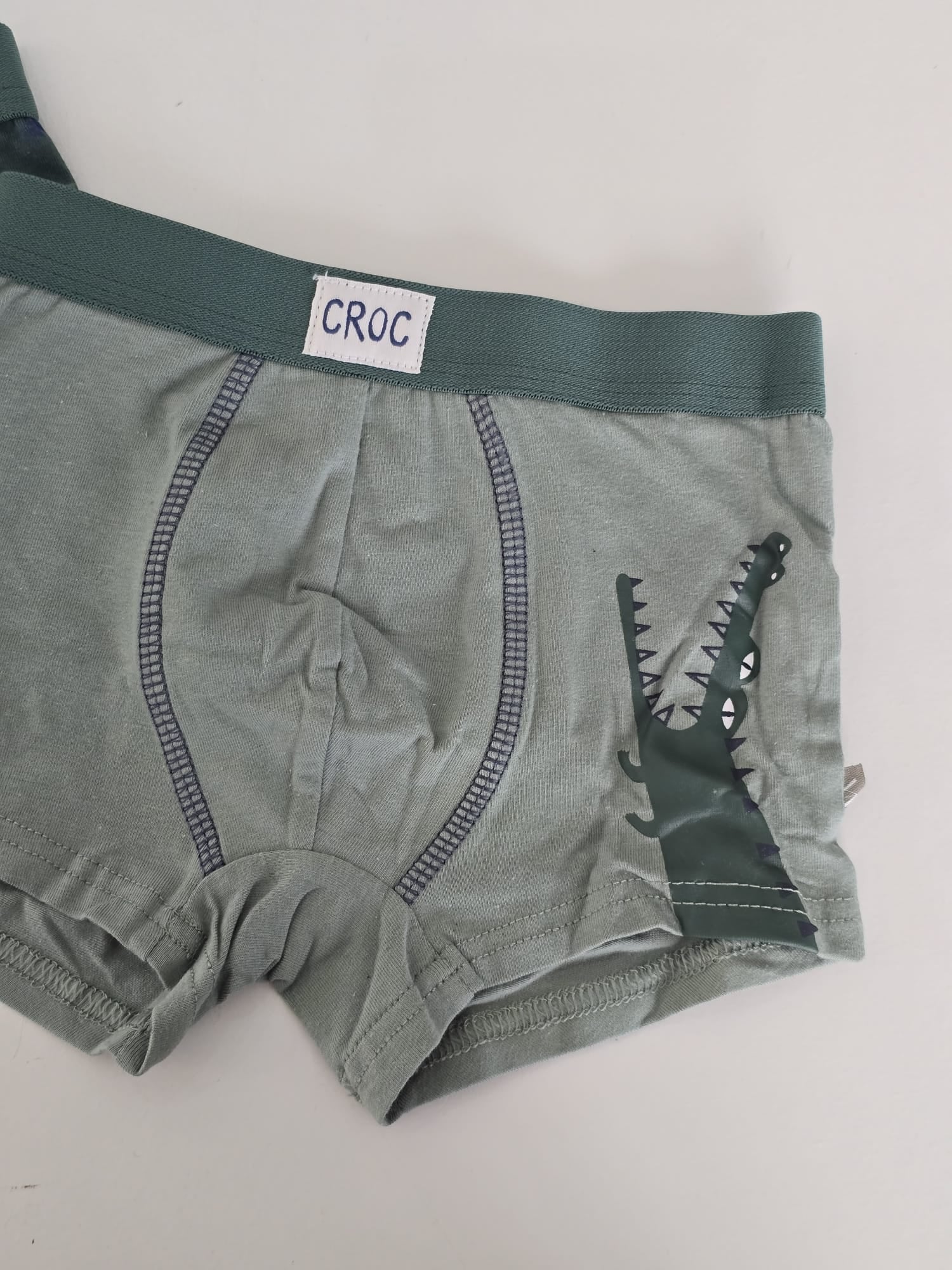 Set boxer coccodrilli