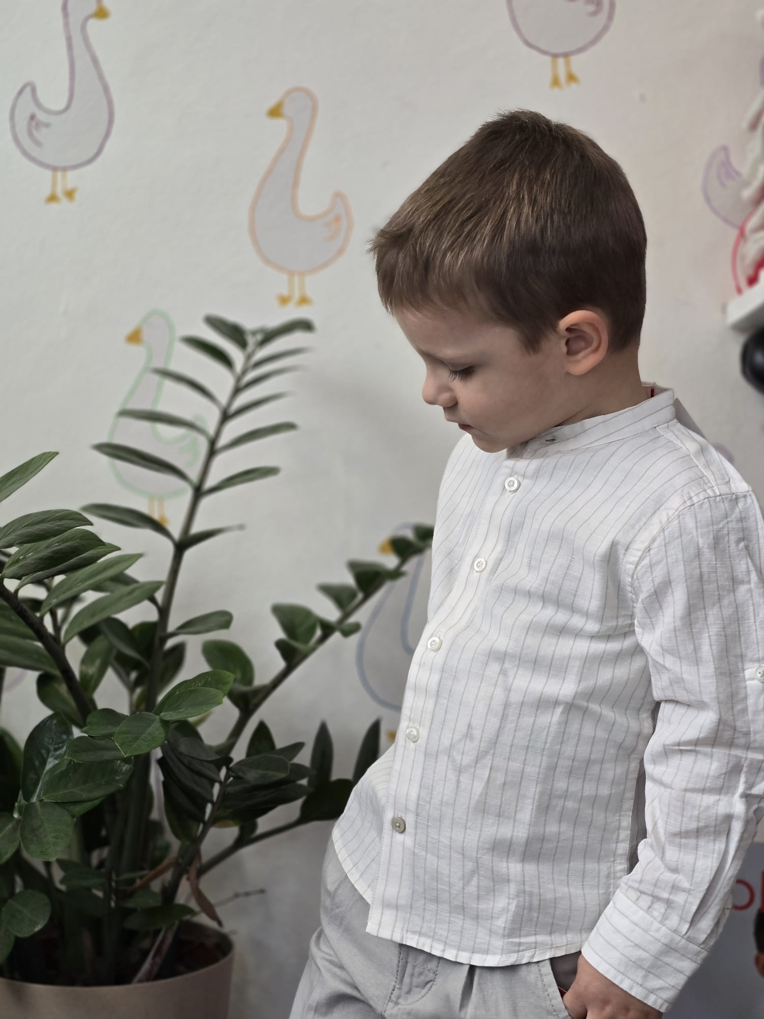 Camicia Listata